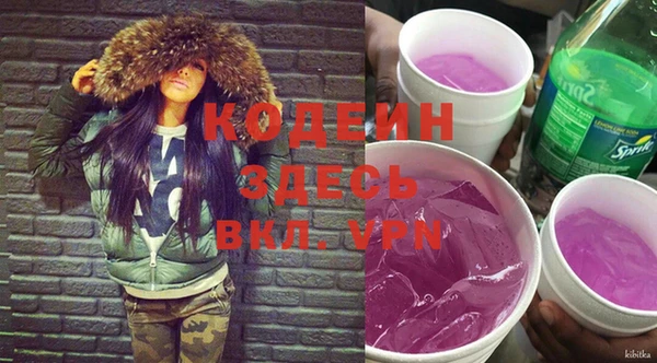 дживик Ельня