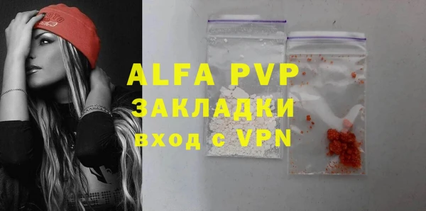 дживик Ельня