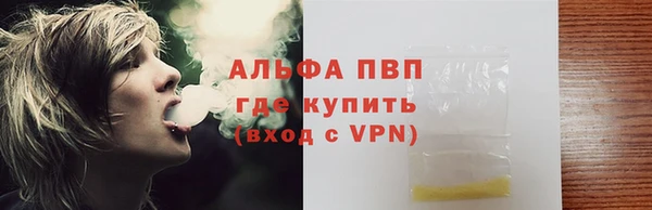 дживик Ельня