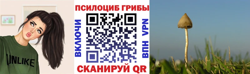 Псилоцибиновые грибы мухоморы  Купить  Батайск 